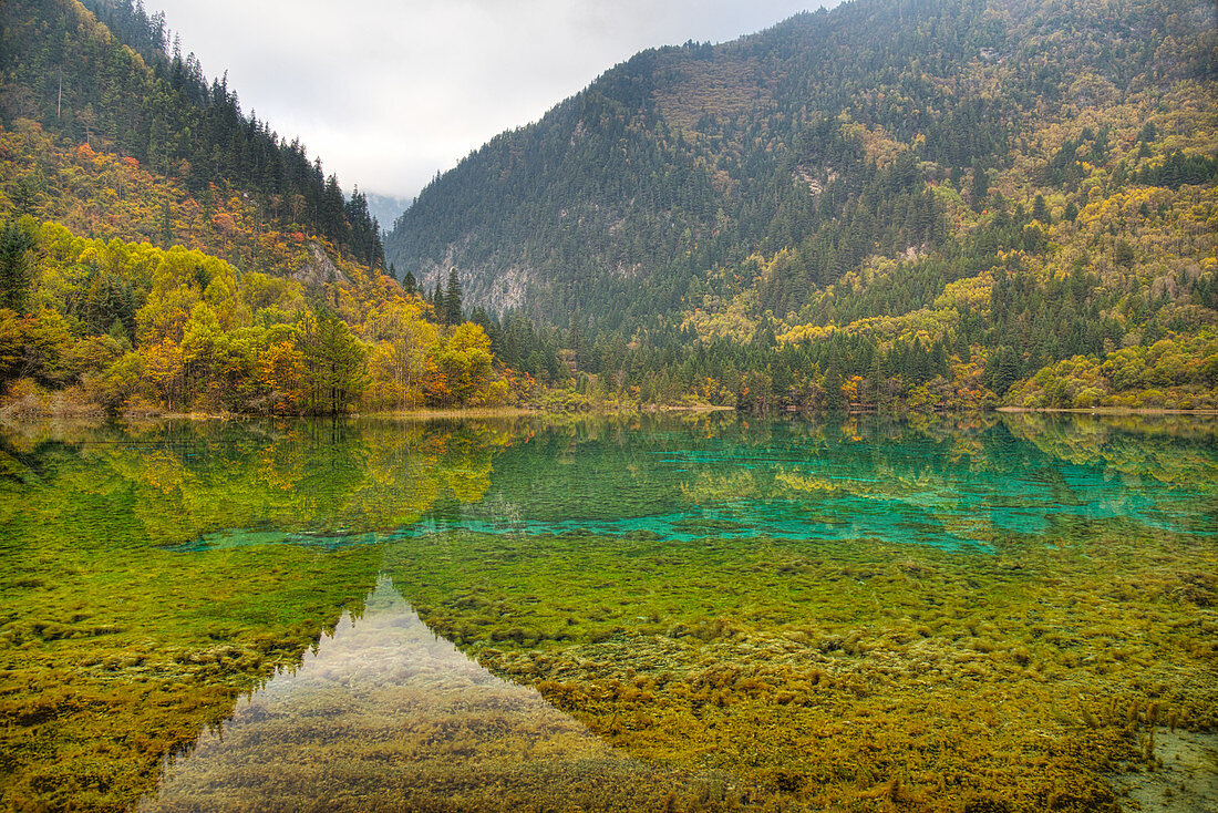 Multi-coloured Lake Jiuzhaigou National Park Sichuan, China LA007622