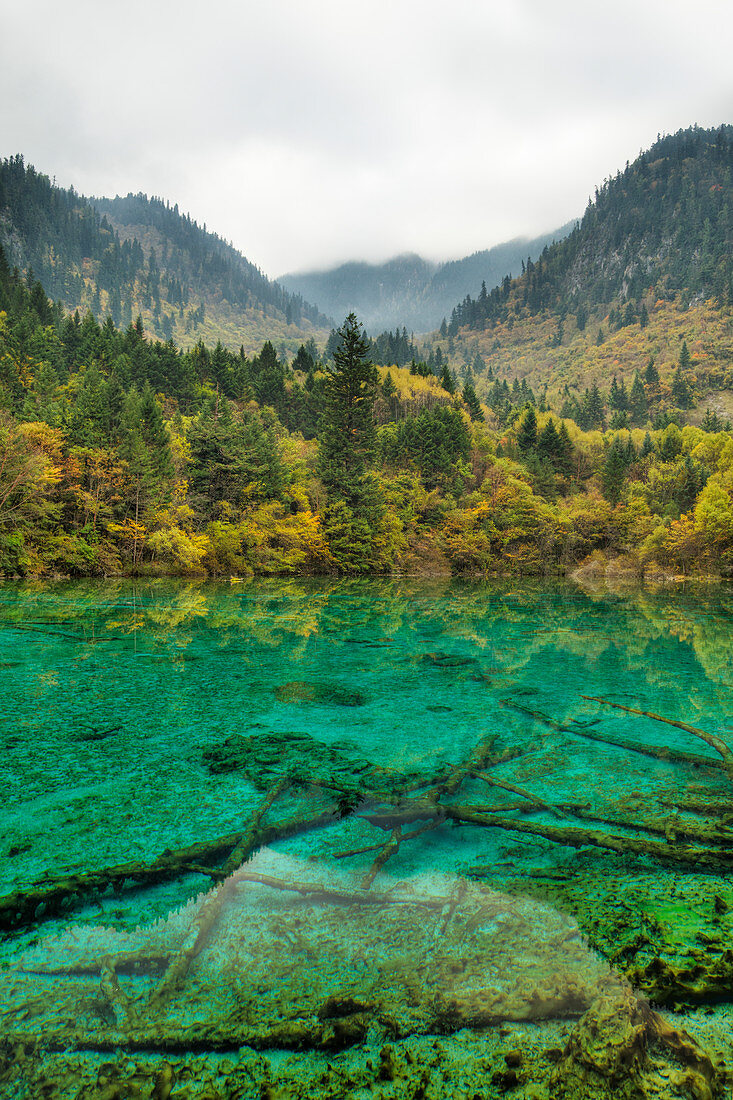 Mehrfarbiger See, Jiuzhaigou-Nationalpark, Sichuan, China LA007638