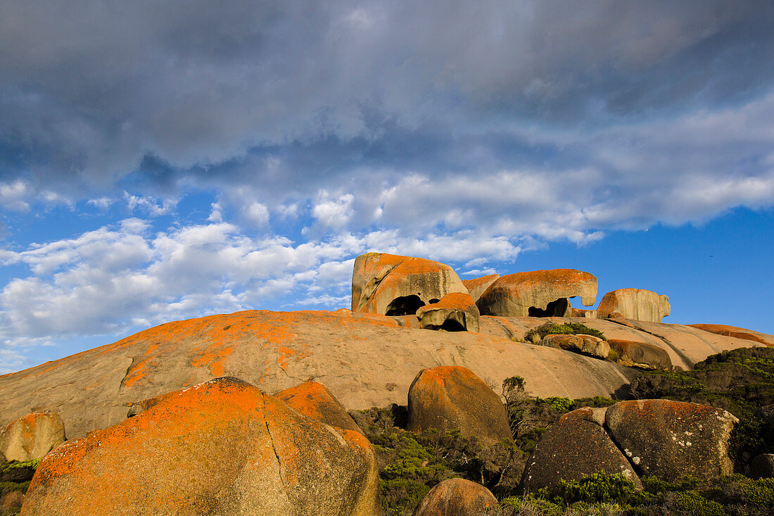 Bemerkenswerte Felsen am frühen Morgen, Flinders-Chase-Nationalpark, Känguru-Insel, Südaustralien, Australien LA009290