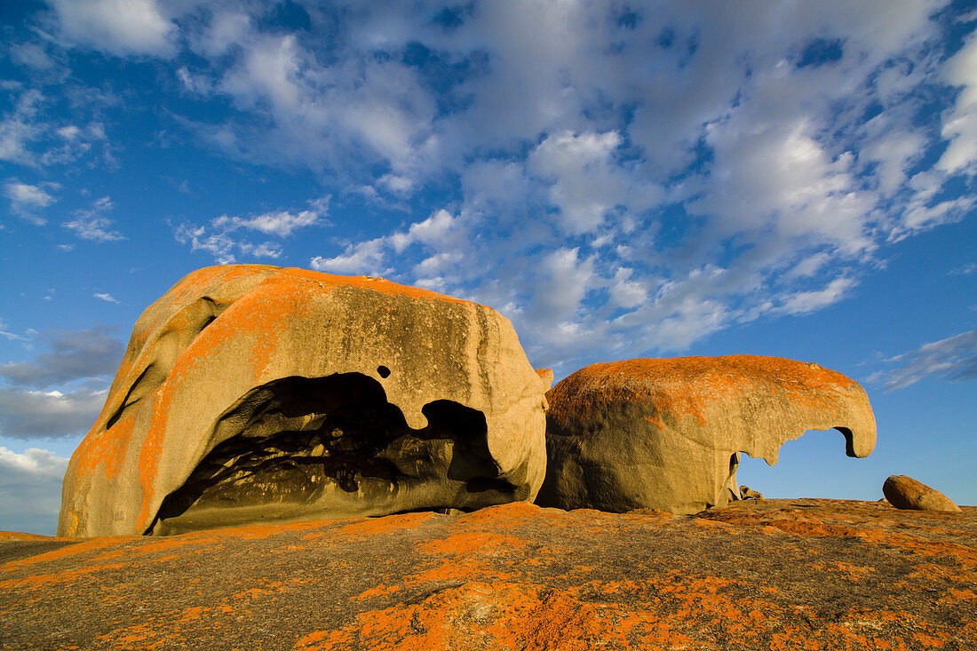 Bemerkenswerte Felsen am frühen Morgen, Flinders-Chase-Nationalpark, Känguru-Insel, Südaustralien, , Australien LA009281