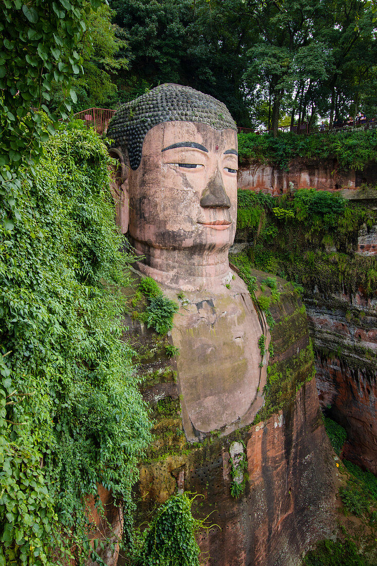 Leshan Giant Buddha - Head Detail Sichuan Province China LA008726