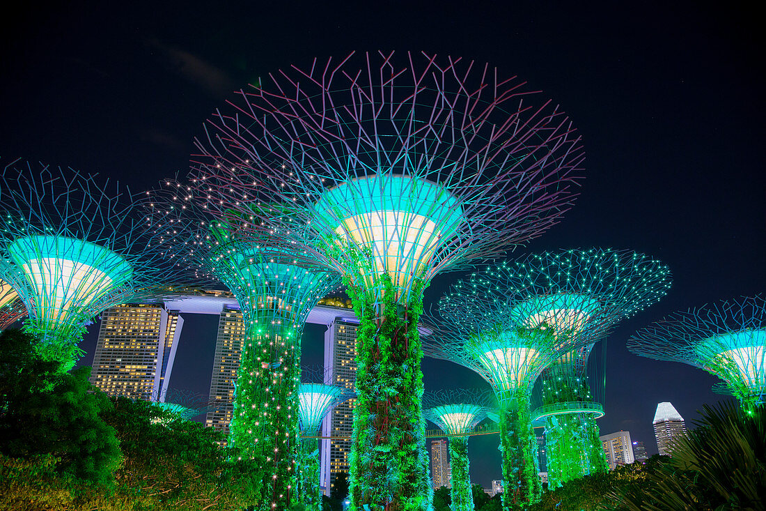 Nachts beleuchtete Supertrees, Marina Bay Gardens, Singapore TV000486
