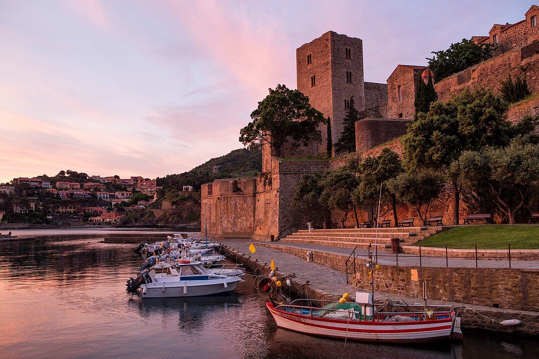 Frankreich, Pyrénées-Orientales, Côte Vermeille, Collioure, Boote am Fuße des königlichen Schlosses festgemacht