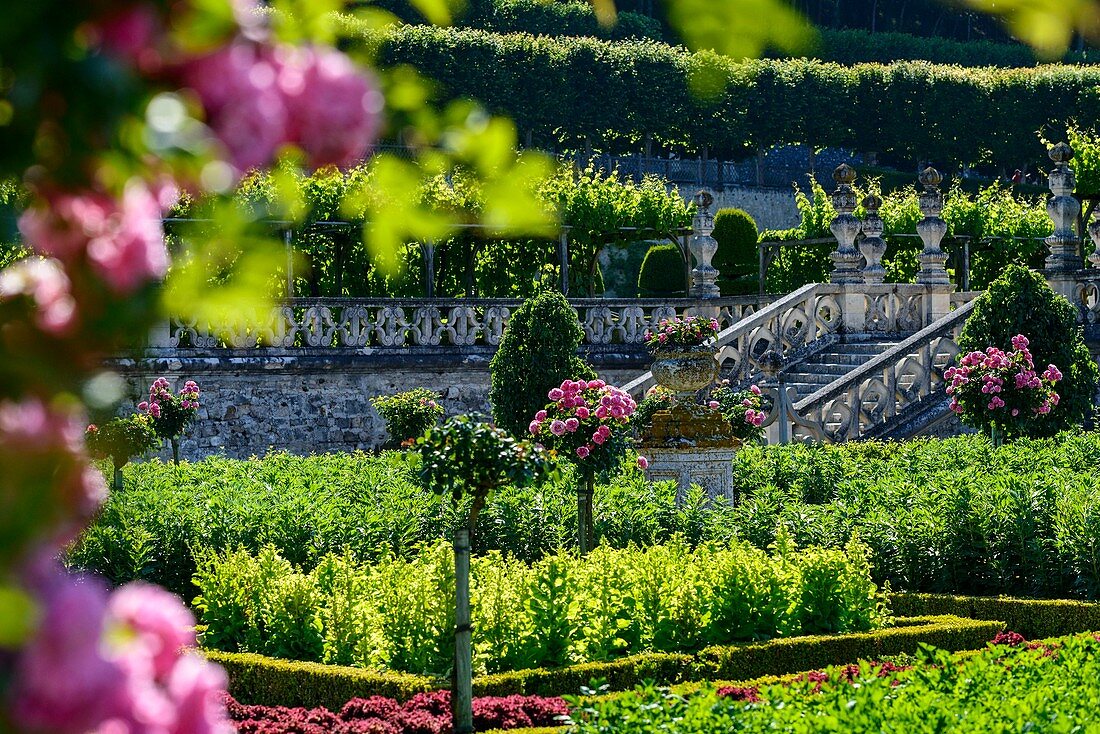 France, Indre et Loire, Loire Valley listed as World Heritage by UNESCO, gardens of the castle of Villandry