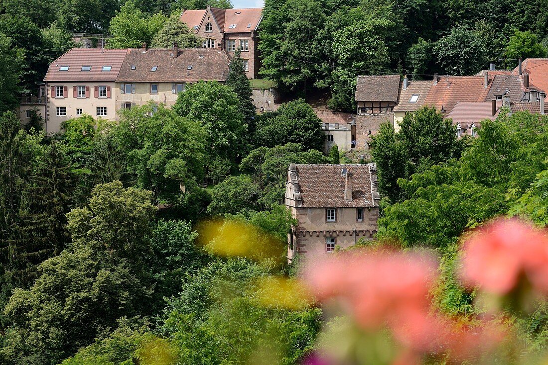 France, Bas Rhin, La Petite Pierre, la Maison des Paiens dated 1534