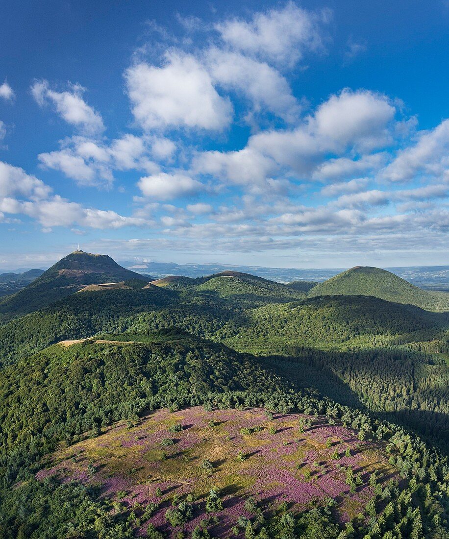 Frankreich, Puy de Dome, UNESCO Weltkulturerbe Gebiet, Regionaler Naturpark der Vulkane der Auvergne, Chaine des Puys, Orcines, der Gipfel des mit Heidekraut bedeckten Vulkans Grand Sarcoui, im Hintergrund der Vulkan Puy de Dome (Luftaufnahme)