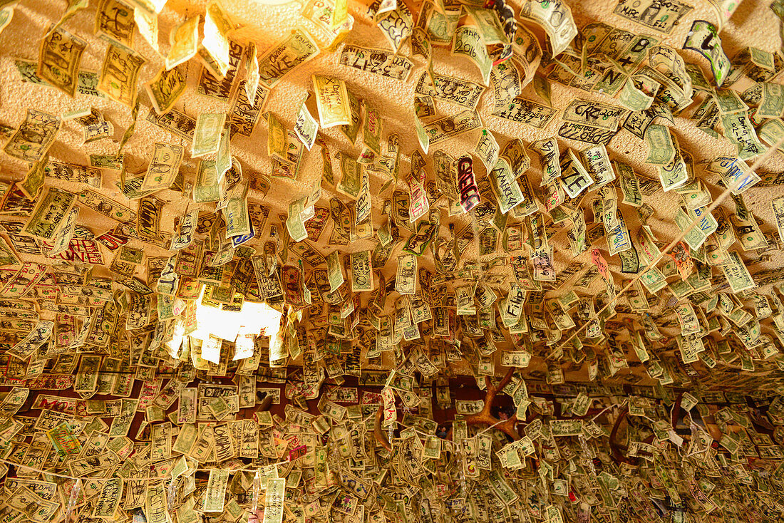 Unzählige Geldscheine hängen von der Decke der Turtle Rock Bar beim Lake Berryessa, Napa Valley, Kalifornien, USA