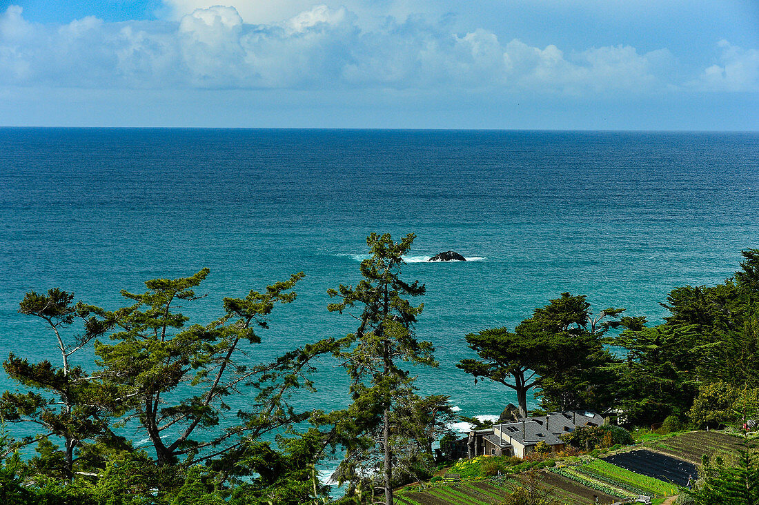 Garden and meditation center Esalen on the Pacific coast, Big Sur, California, USA