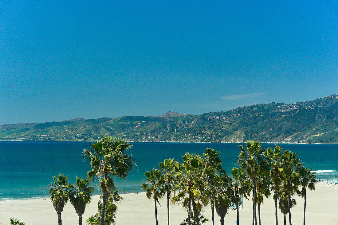 Blick auf Palmen und Strand am Pazifik mit Malibu im Hintergrund, Santa Monica, Kalifornien, USA
