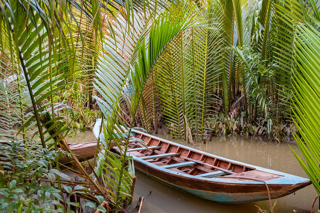 Traditional boat moored in between palm trees in the Mekong Delta, Vietnam.