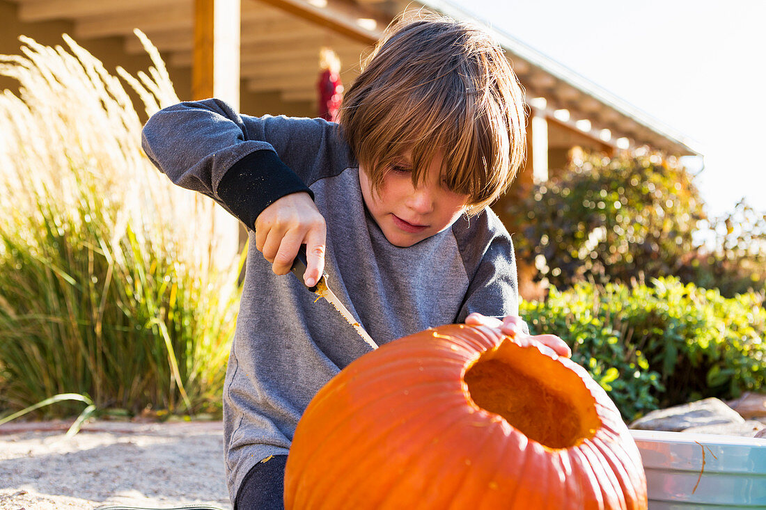 Sechsjähriger Junge schnitzt an Halloween einen Kürbis