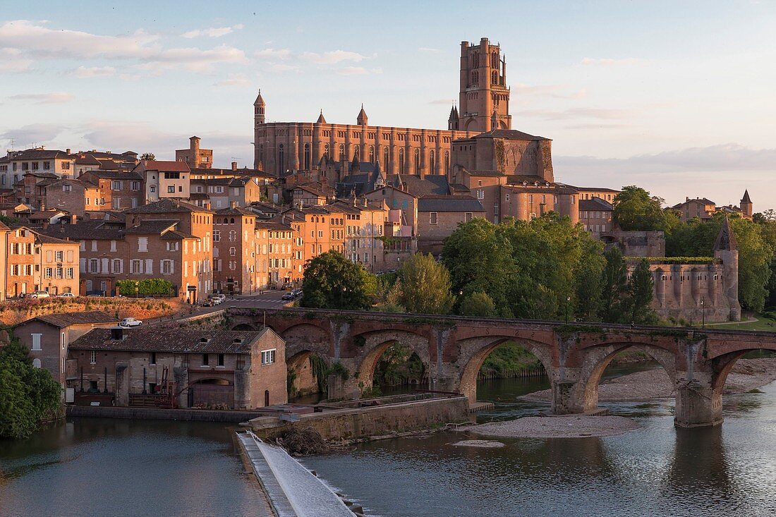 Frankreich, Tarn, Albi, die Bischofsstadt, UNESCO Weltkulturerbe, die Kathedrale Sainte Cecile, die alte Brücke und der Fluss Tarn