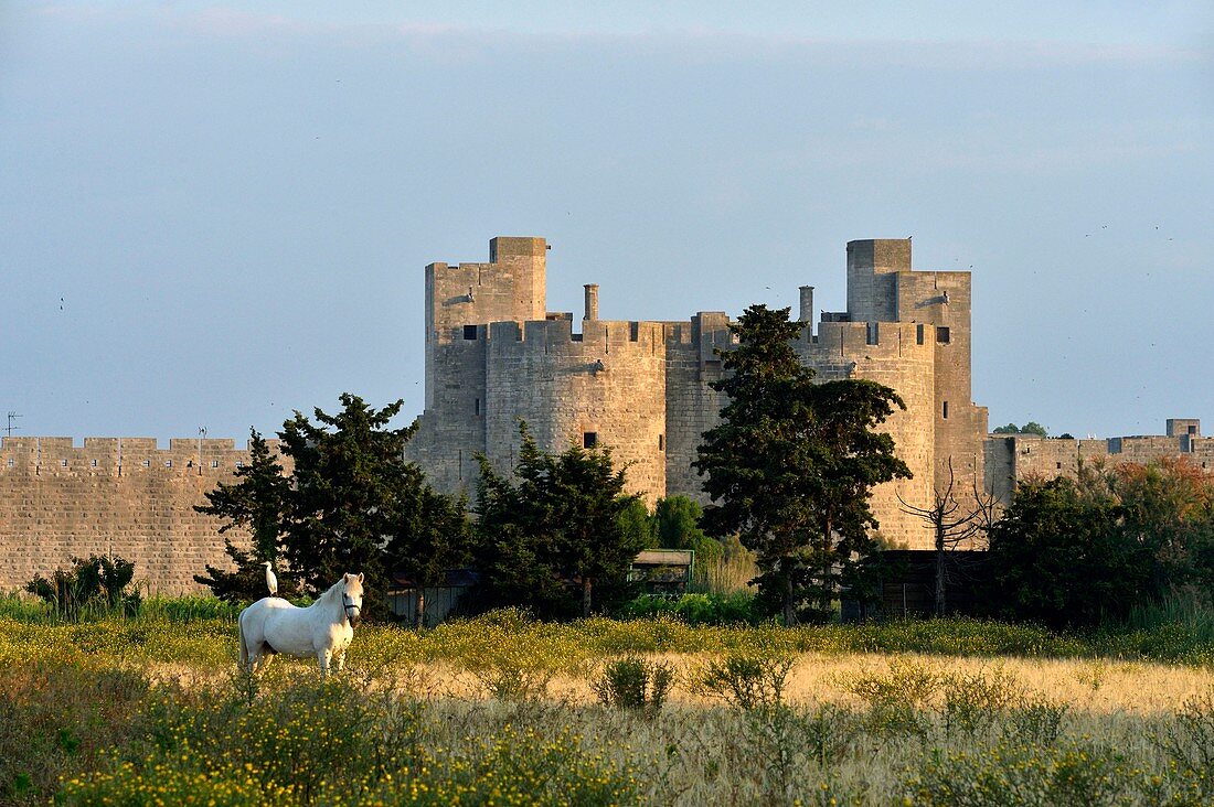 France, Gard, Aigues-Mortes, medieval city, ramparts and fortifications surrounded the city, fortified gate