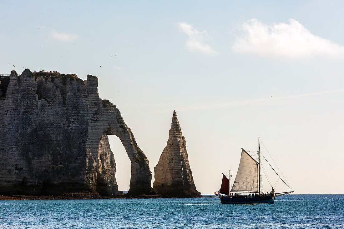 Frankreich, Seine-Maritime, Caux, Alabasterküste, Etretat, die Aval-Klippe, die Arche d'Aval und die Aiguille