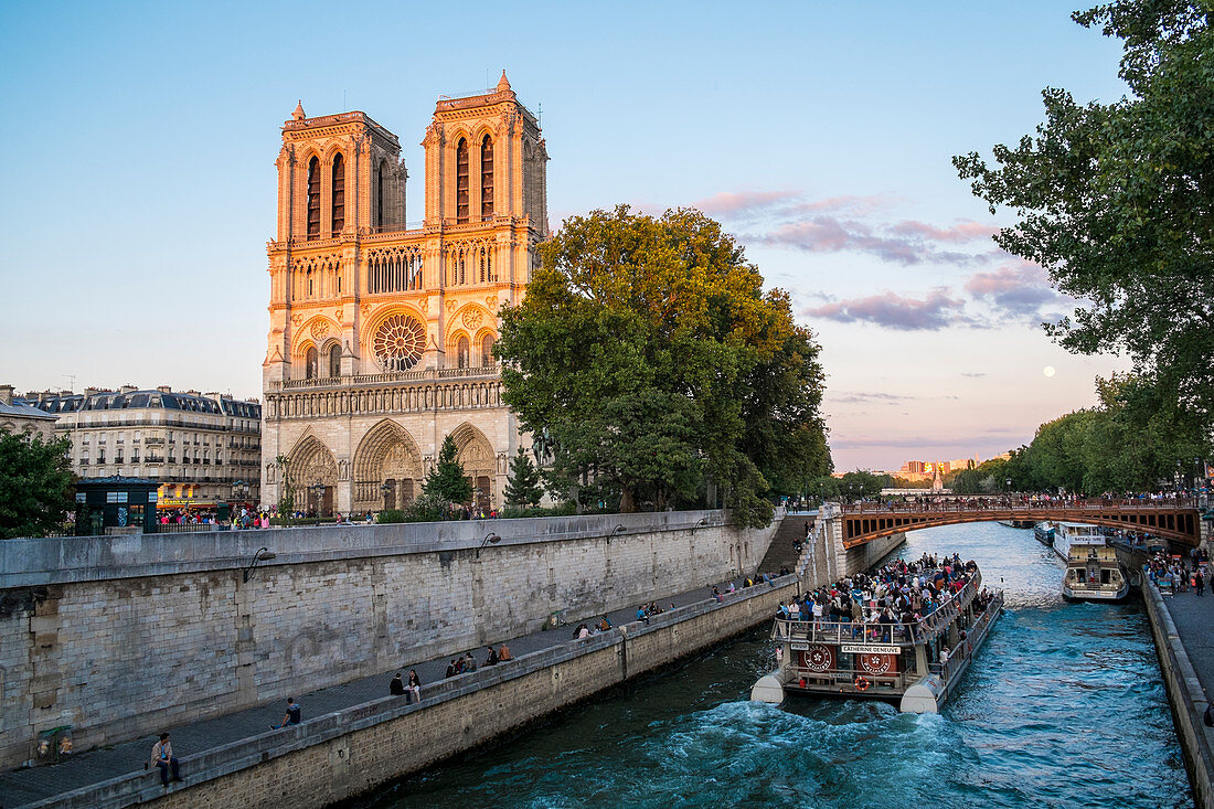 France, Paris, area listed as World Heritage by UNESCO, the Notre Dame Cathedral on la Cité island