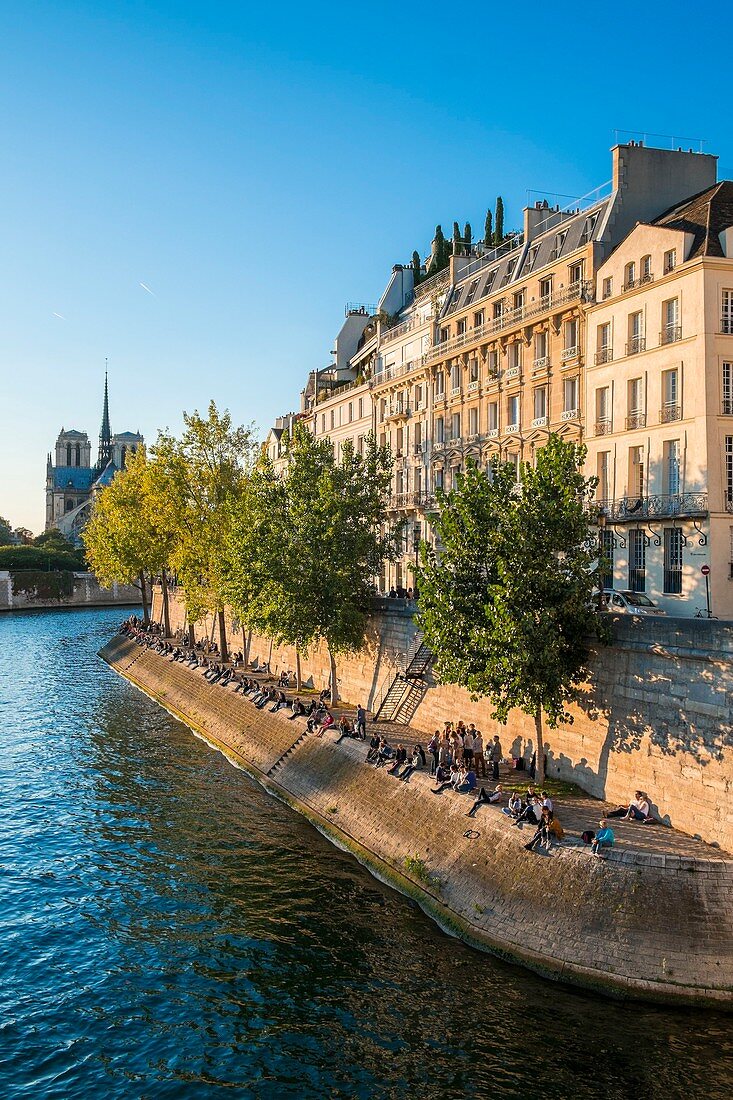 France, Paris, area listed as World Heritage by UNESCO, picnic on the Ile Saint Louis