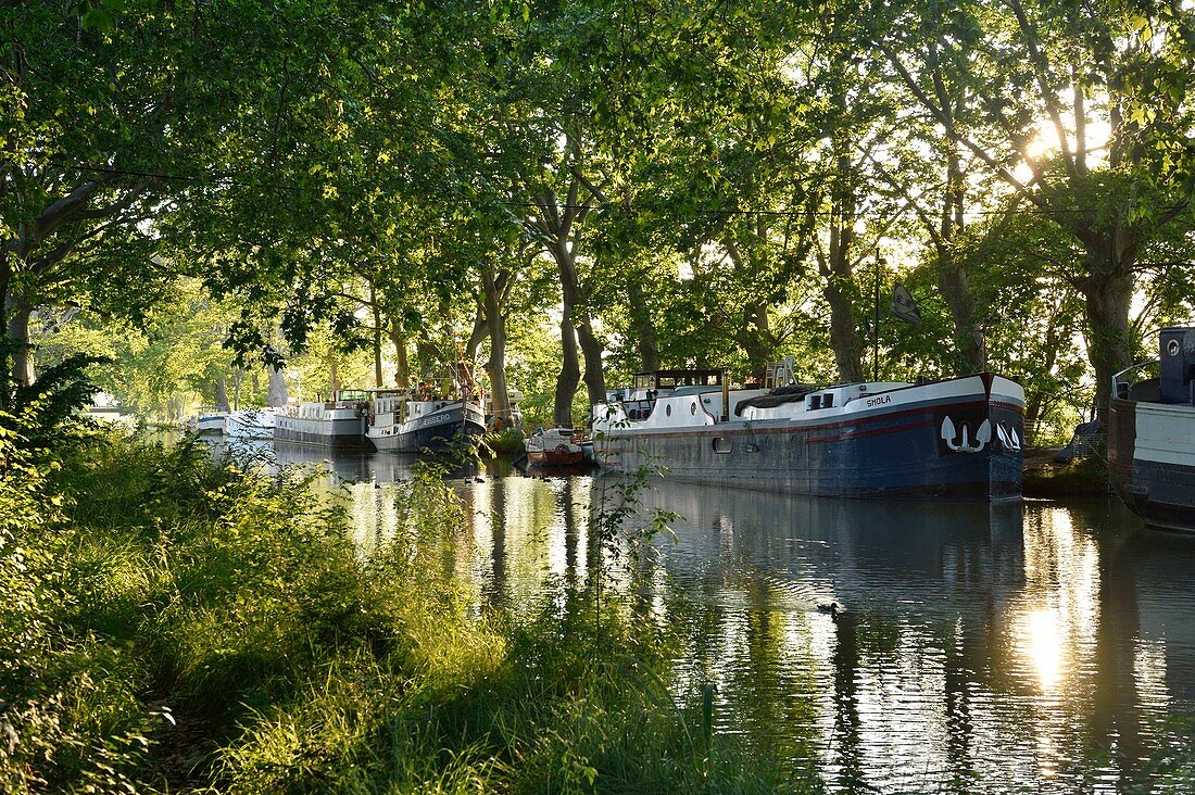 France, Herault, Cers near Beziers, Canal du Midi listed as World Heritage by UNESCO
