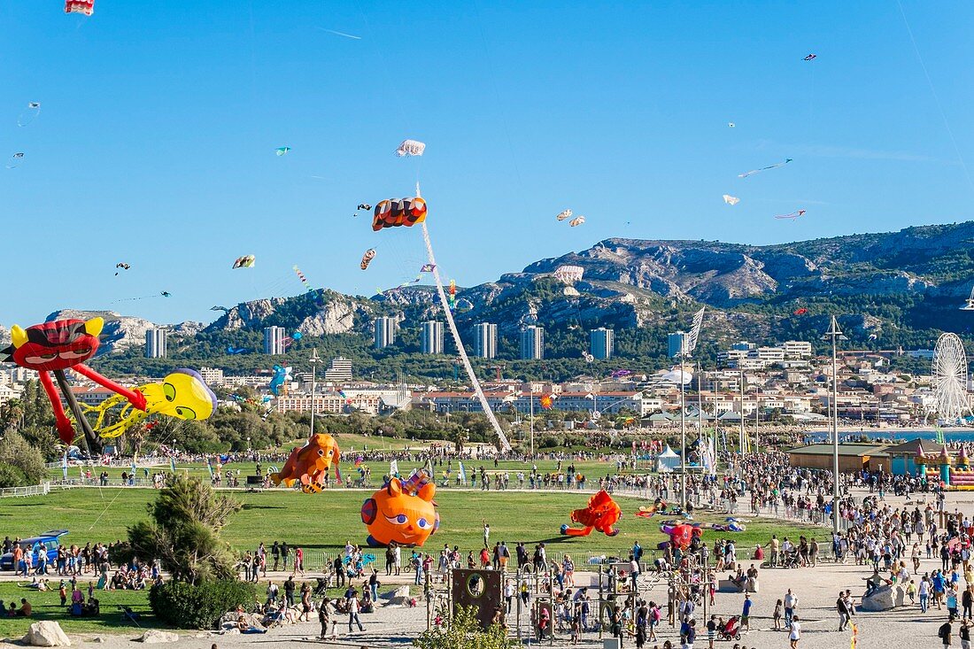 France, Bouches du Rhone, Marseille, Prado Beach, Wind Festival, Kites