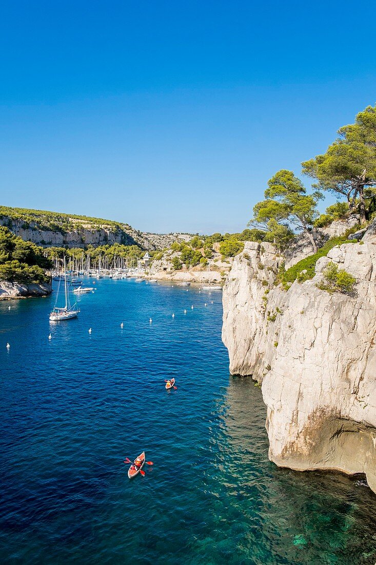 France, Bouches du Rhone, Cassis, the Calanques National Park, the cove of Port Miou