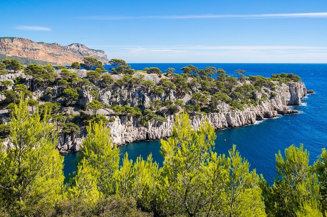 France, Bouches du Rhone, Cassis, the Calanques National Park, the cove of Port Miou