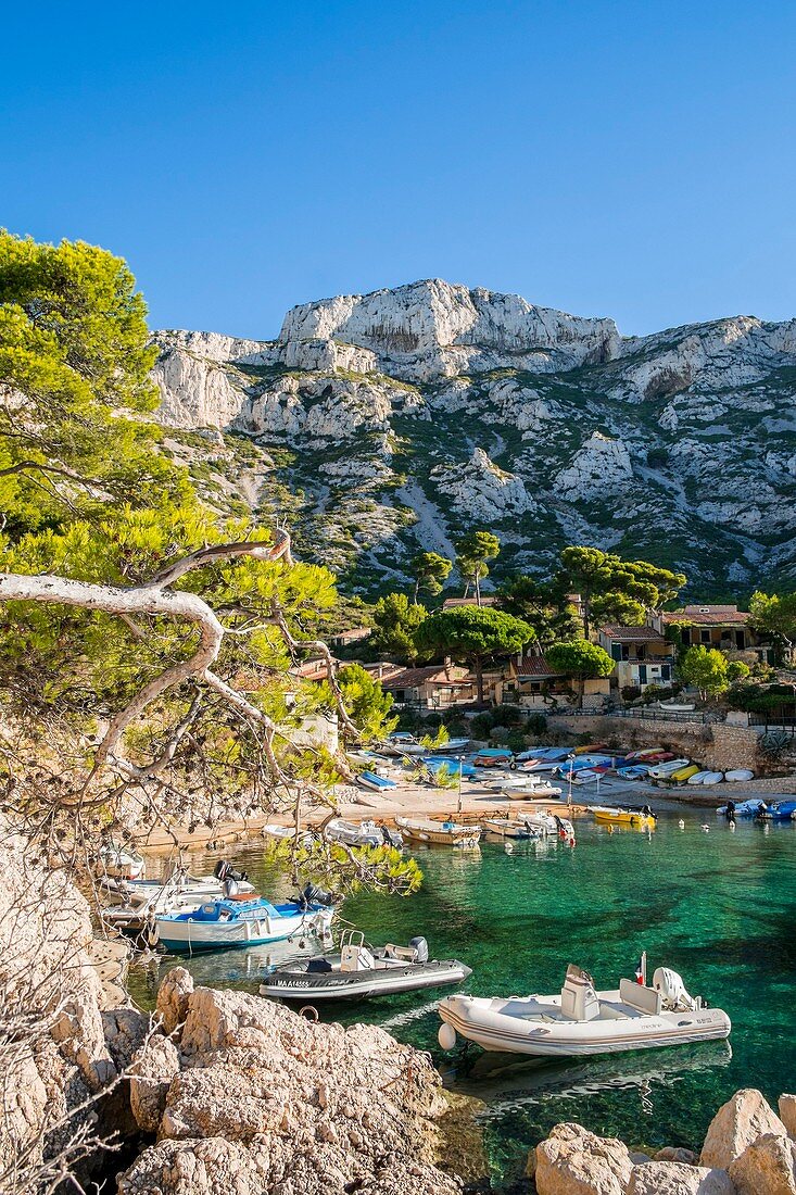 Frankreich, Bouches-du-Rhône, Marseille, Nationalpark Calanques, die Bucht von Sormiou