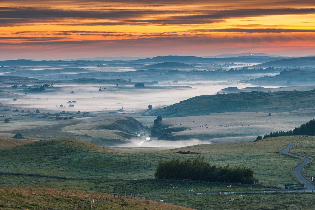 Frankreich, Lozère, Aubrac-Hochebene