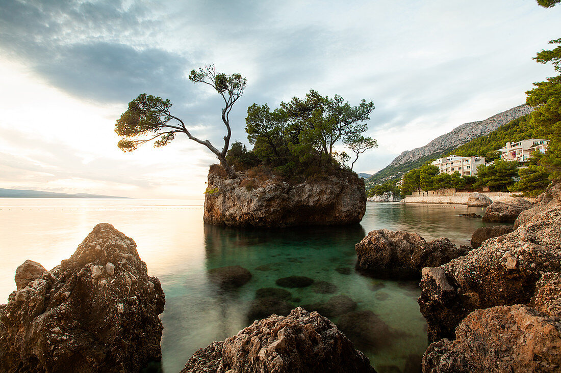 Bäume wachsen auf kleiner Felseninsel, Brela, Kroatien
