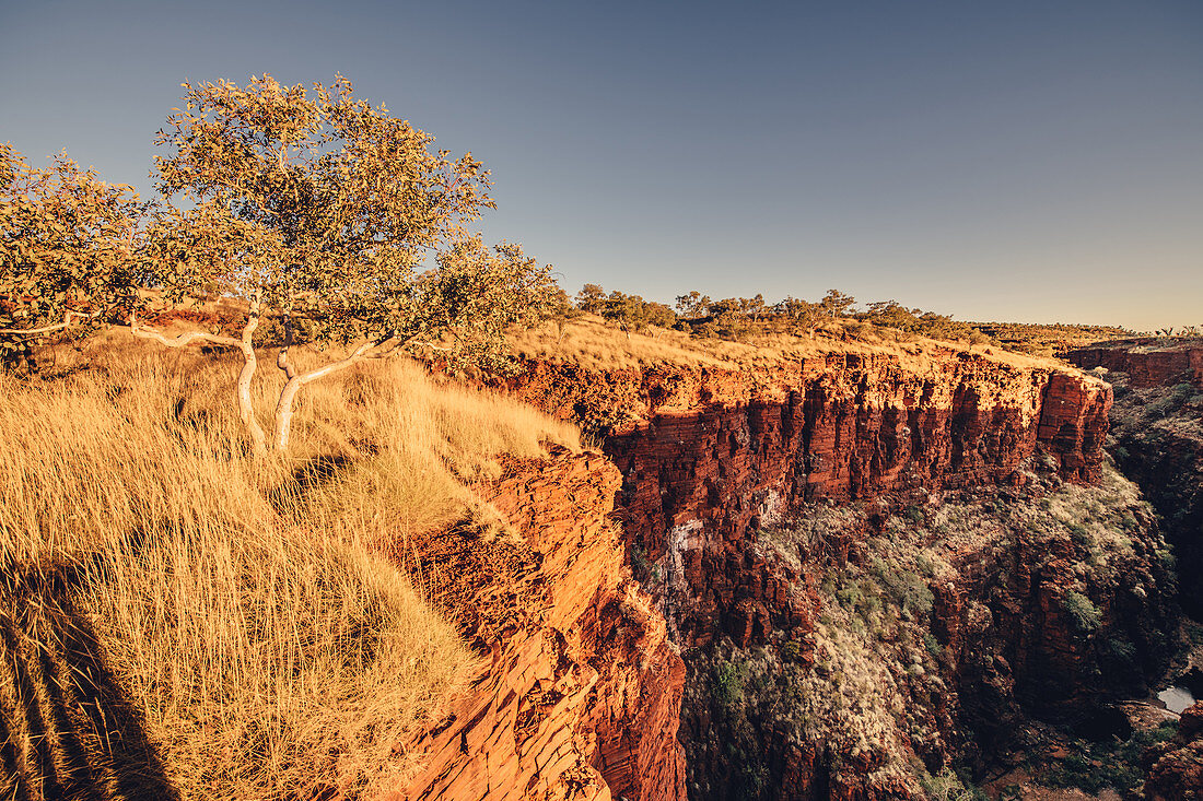Canyon in Karijini National Park in Western Australia, Australia, Oceania;