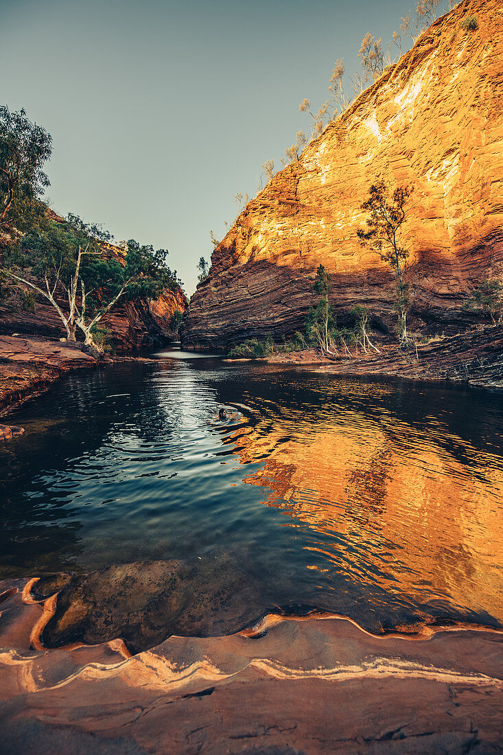 Man swims in the Hamersley Gorge in Karijini National Park in Western Australia, Australia, Oceania;