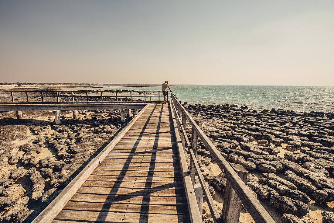 Mann beim Hamelin Pool Marine Nature Reserve in der Sharkbay in Westaustralien, Australien, Ozeanien