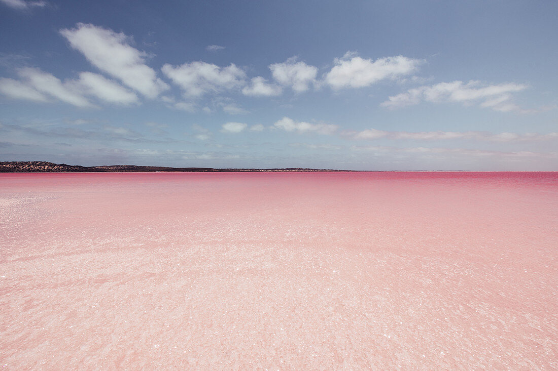 Pink Lake in Western Australia, Australia, Oceans;