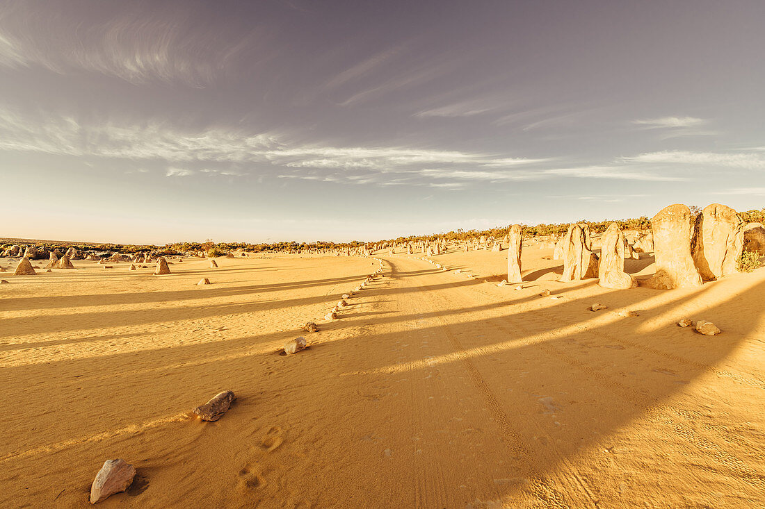 Sonnenaufgang bei den Pinnacles im Nambung Nationalpark in Westaustralien Australien, Ozeanien