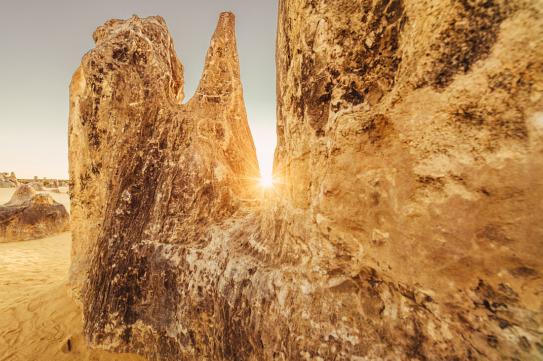 Sonnenaufgang bei den Pinnacles im Nambung Nationalpark in Westaustralien Australien, Ozeanien