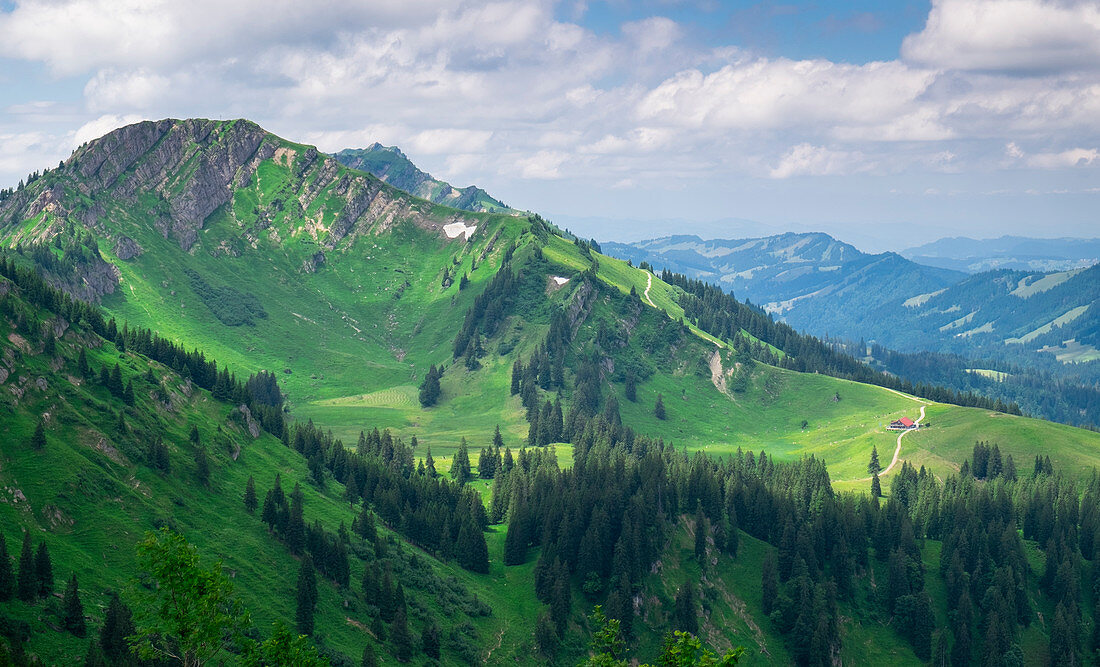 Gebirge der Nagelfluhkette im Sommer, Allgäu, Oberstaufen, Bayern