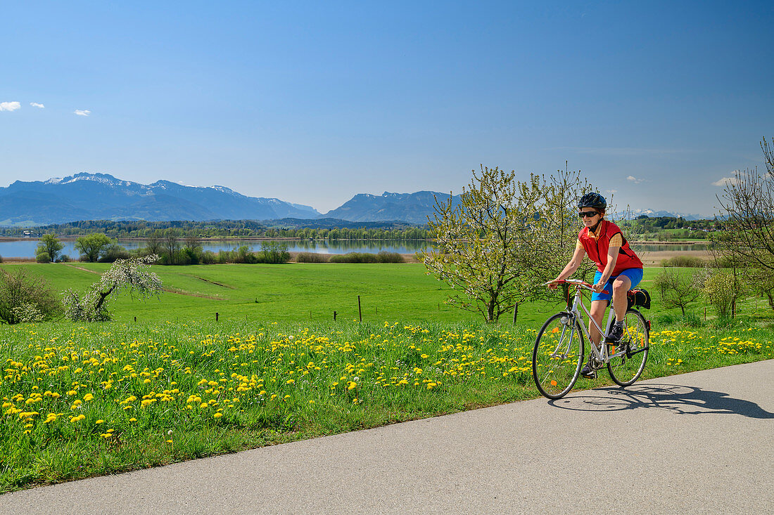 Woman cycling with Chiemsee and Kampenwand in the background, Chiemseeradweg, Chiemgau, Upper Bavaria, Bavaria, Germany