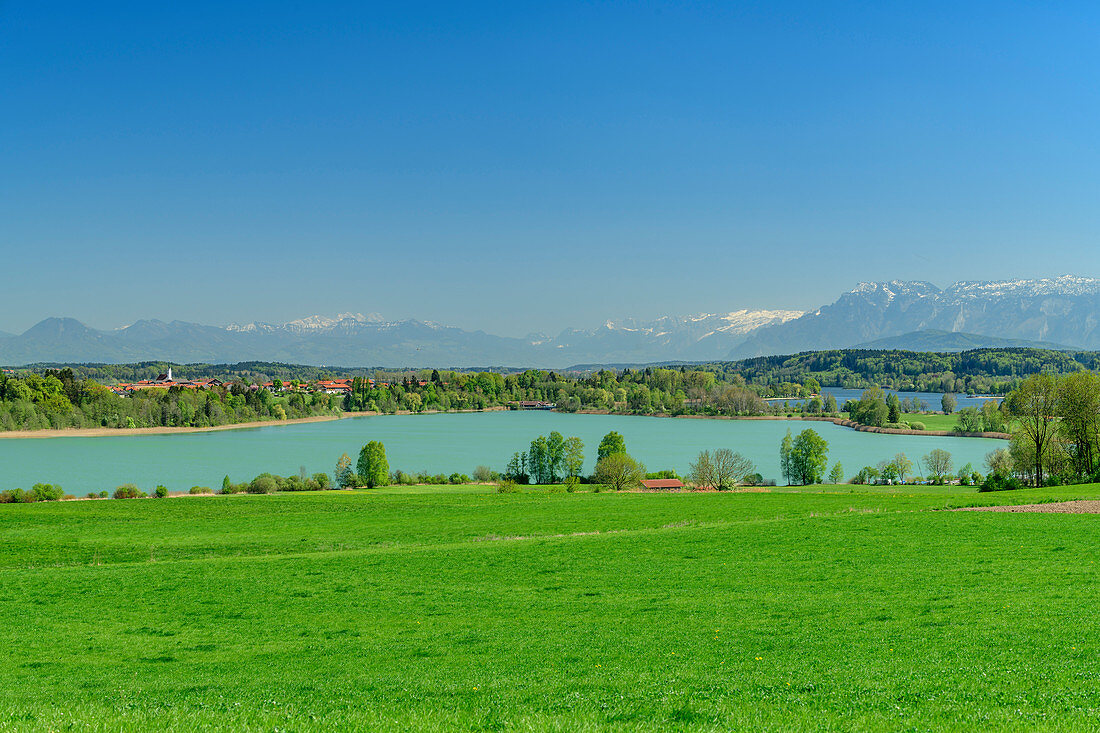Tachinger und Waginger See mit Dachstein und Tennengebirge im Hintergrund, Tachinger See, Benediktradweg, Oberbayern, Bayern, Deutschland
