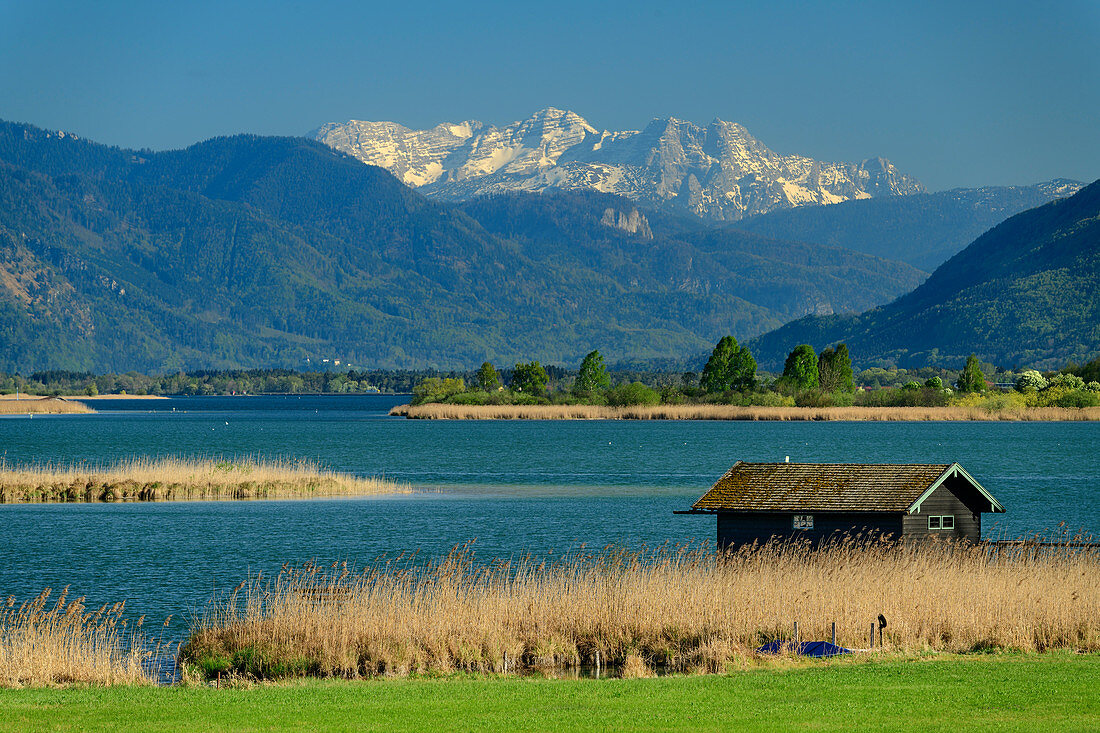 Chiemsee mit Loferer Steinberge im Hintergrund, Chiemsee, Benediktradweg, Chiemseeradweg, Chiemgau, Oberbayern, Bayern, Deutschland