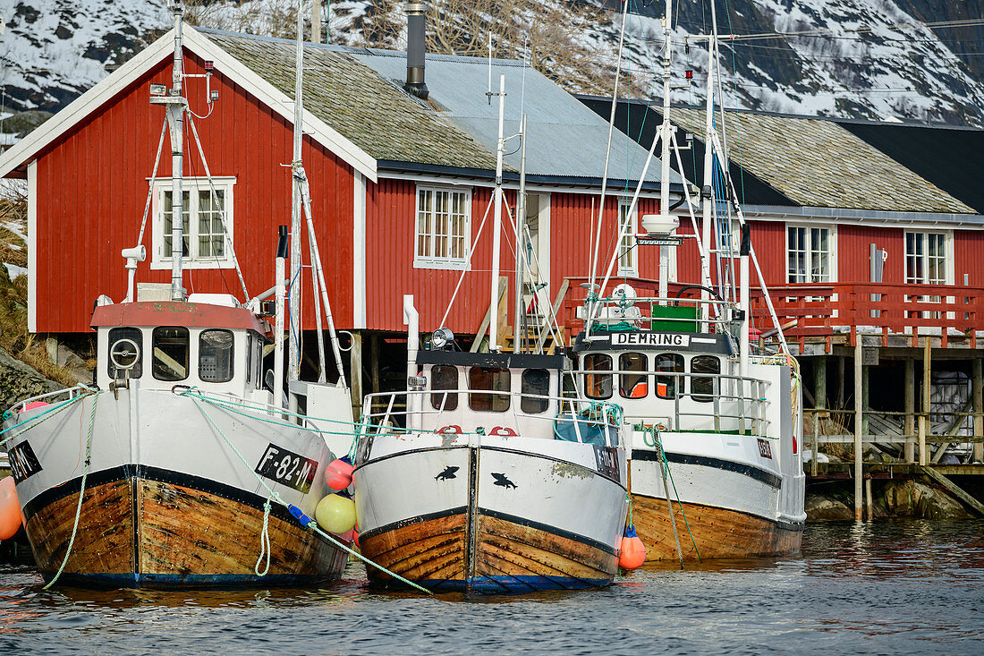 Schiffe im Hafen von Klingenberg, Klingenberg, Lofoten, Nordland, Norwegen