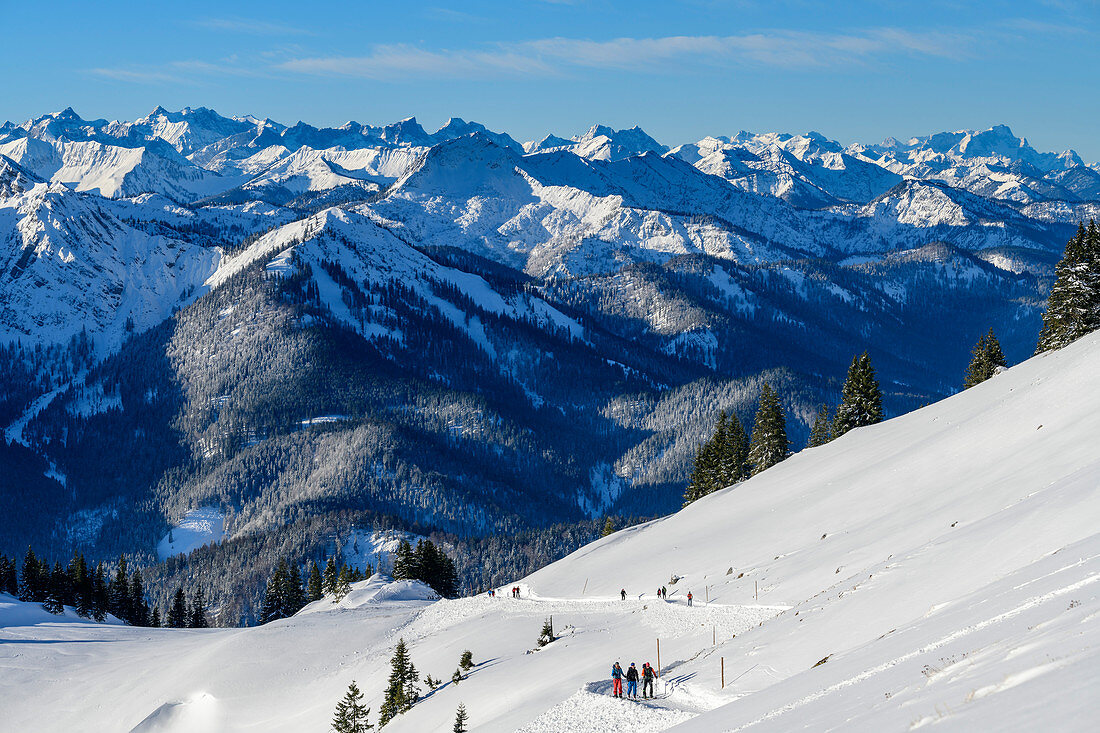 Viele Personen steigen auf Straße durch Winterlandschaft auf zur Rotwand, Karwendel und Zugspitze im Hintergrund, Rotwand, Bayerische Alpen, Oberbayern, Bayern, Deutschland