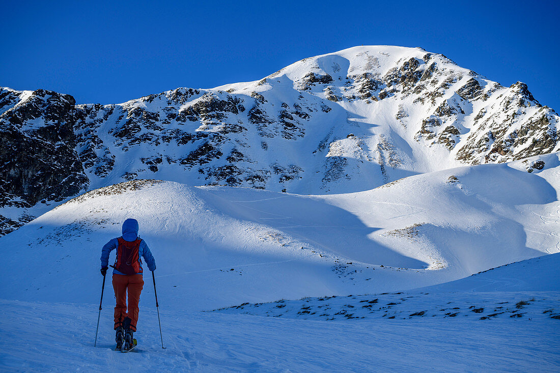 Woman on ski tour climbs to the Wetterkreuzkogel, Wetterkreuzkogel, Stubai Alps, Tyrol, Austria