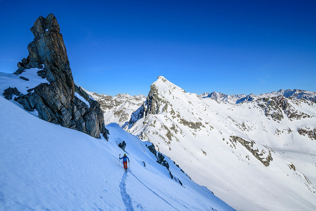 Frau auf Skitour steigt auf zum Hennesiglkopf, Langtauferer Tal, Ötztaler Alpen, Südtirol, Italien 