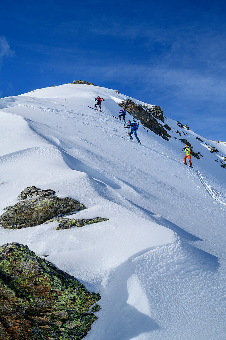 Vier Personen auf Skitour steigen zum Pangert auf, Pangert, Tuxer Alpen, Tirol, Österreich