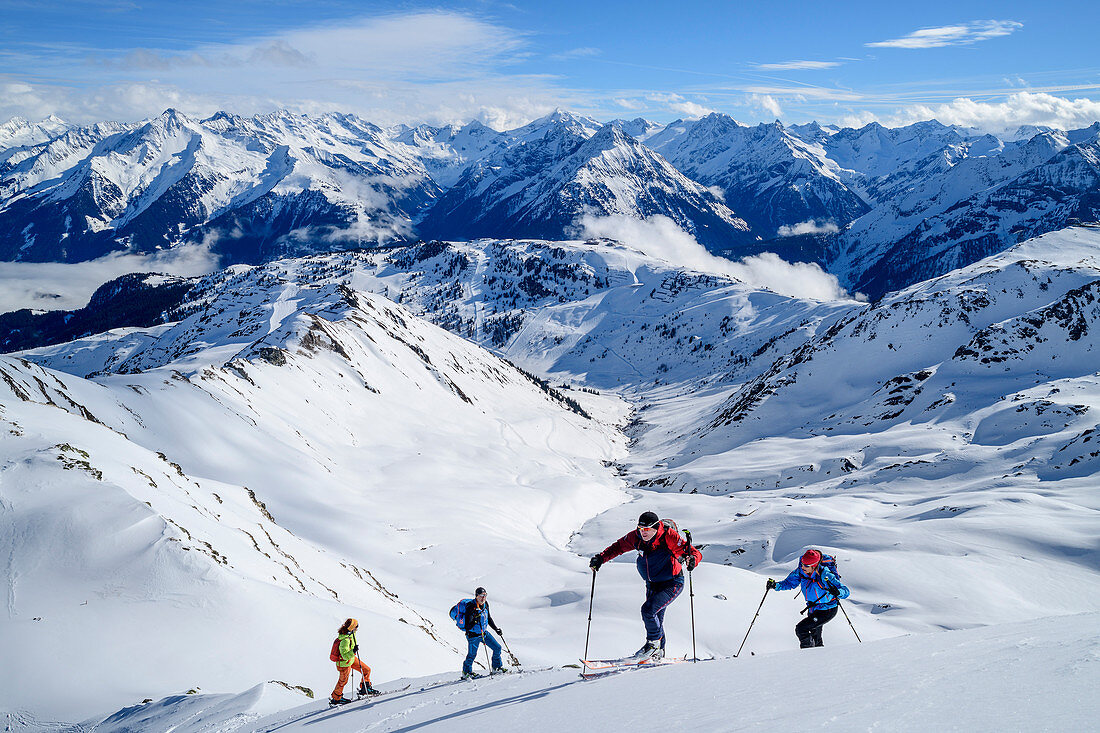 Four people on a ski tour ascend to the Pangert, Zillertal Alps in the background, Pangert, Tux Alps, Tyrol, Austria