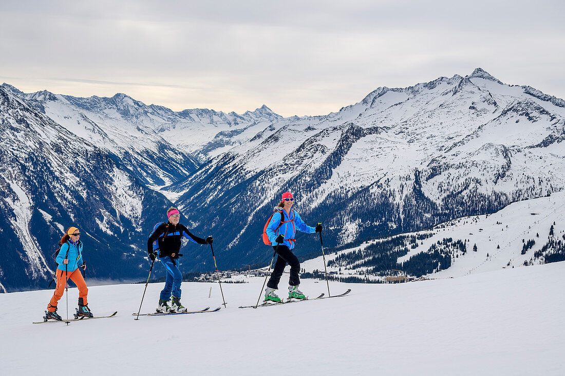 Three people on ski tours ascend to the Ronachgeier, Hohe Tauern in the background, Ronachgeier, Kitzbüheler Alpen, Salzburg, Austria