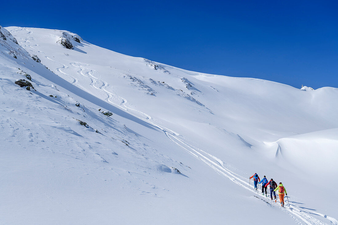 Four people on a ski tour ascend to Niederjochkogel, Niederjochkogel, Kitzbüheler Alpen, Tyrol, Austria