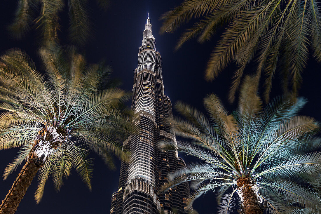 Blick durch die Palmen zur Spitze des beleuchteten Burj Khalifa in Dubai, VAE