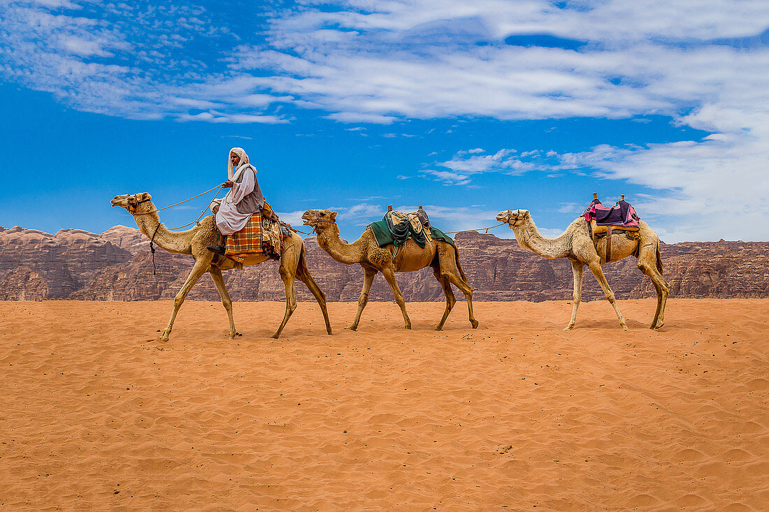 Ein Berber reitet mit seinen Kamelen durch das Wadi Rum in Jordanien