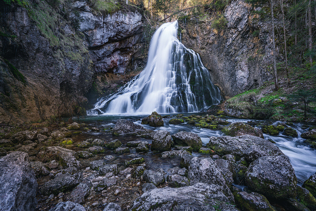 In spring at the Gollinger waterfall, Golling, Salzburg, Austria