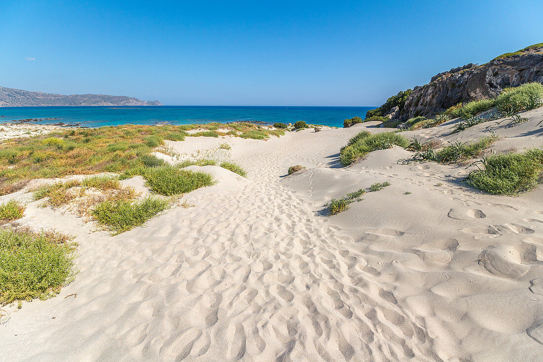 Sanddünen auf Halbinsel Elafonisi am Elafonissi Strand mit pinkem Sand, Südwesten Kreta, Griechenland