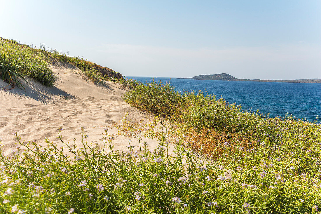 Sand dunes on Elafonisi peninsula on Elafonissi beach with pink sand, southwest Crete, Greece